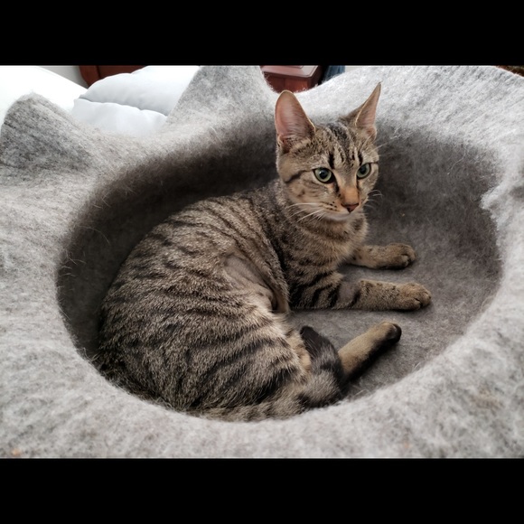 Alex & Ali - Picture 3 of 9